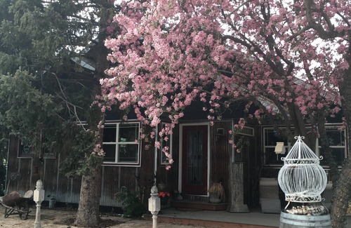 Bozeman House | Discover Comfort Between Big Sky Ski Resort & Bridger Bowl