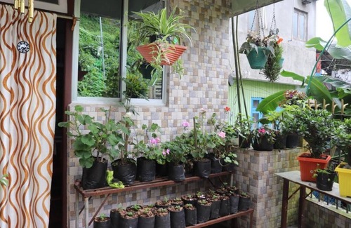 Darjeeling Apartment | Relaxing Escape at Sparrow Nest Homestay in Darjeeling