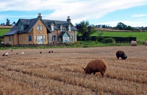 Culbokie Bed & Breakfast | Highly Rated Netherton Farm B&B: Pet Friendly and Welcoming
