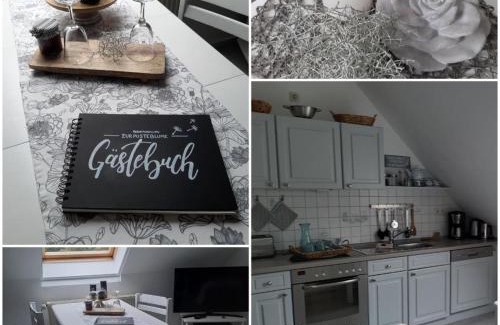 Dykhausen Apartment | Discover Ferienwohnung Zur Pusteblume with Hot Tub Bliss