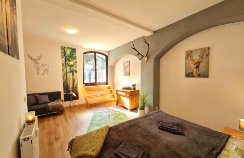 Altstadt Apartment | New! City Apartment with XL Rooftop Terrace, Rated 9/10
