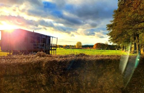 Lubbenau/Spreewald Apartment | Unique Tiny House FREYR with Ocean View in Lübbenau