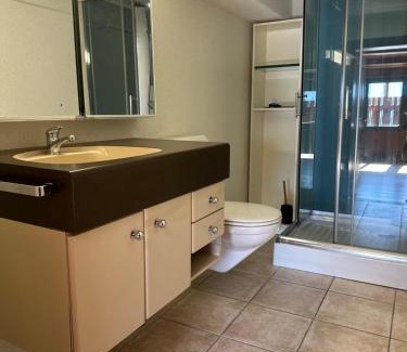 Oberried am Brienzersee Apartment | NEU! Seeblick, neue Möbel ab September