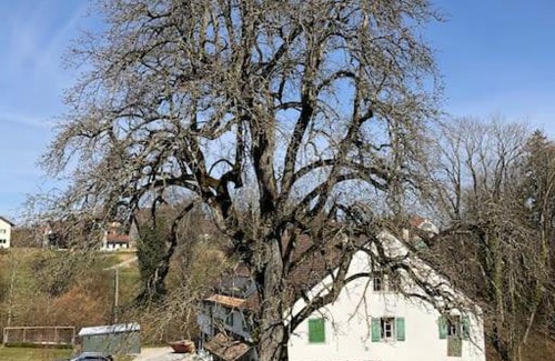 Pfaffikon District Apartment | Bright Apartment on Estate Near Castle with Family Amenities