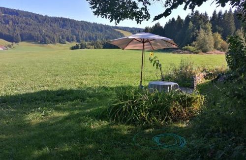 Maierhofen Apartment | Inviting das Vogelnest: Family-Friendly Retreat with Spa