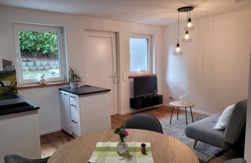 Fronreute Apartment | Discover a Gem: Child-Friendly 2 Room Retreat