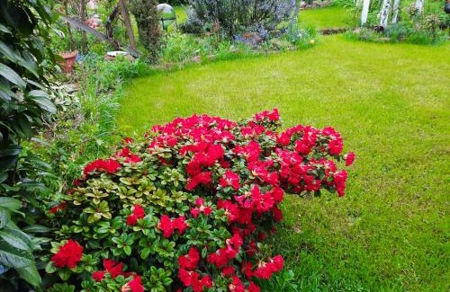 Busenberg Apartment | Family-Friendly Retreat at Neugärten - Rated 9/10 by Guests