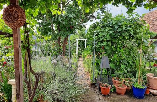 Busenberg Apartment | Family-Friendly Retreat at Neugärten - Rated 9/10 by Guests