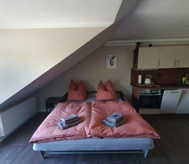 Schwerin Apartment | Relaxing Neumühler Hof with Private Rooftop Terrace