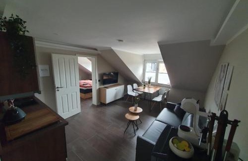 Schwerin Apartment | Neumühler Hof: Pet-Friendly Retreat Near Congress Center