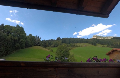 Tannheim Apartment | Cozy Neunerköpfle Guest House with Family-Friendly Amenities