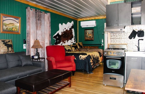 Neal Cabin | NEW! #1 ~ Modern Hunting One Room Cabin ~ Wheelchair Accessible