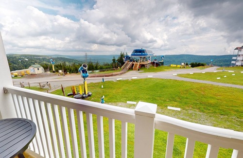 Snowshoe Condo | NEW! Allegheny Springs #236 - Brigham One Bedroom Condo