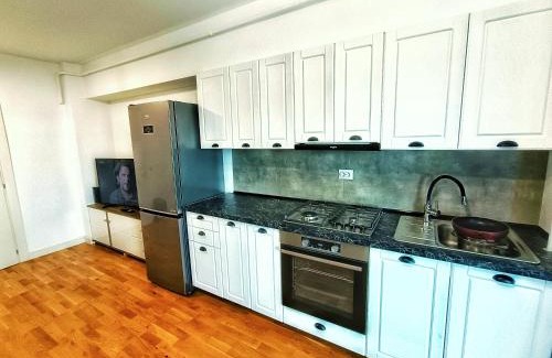 Iasi Apartment | Convenient Apartment with Pet-Friendly Amenities