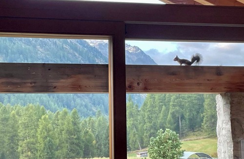 Pontresina Apartment | New apartment with breathtaking views, direct access to cross-country ski trails