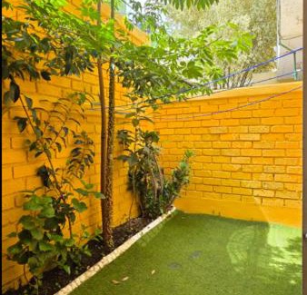 Queretaro Apartment | New Bamboo Noche en el Museo