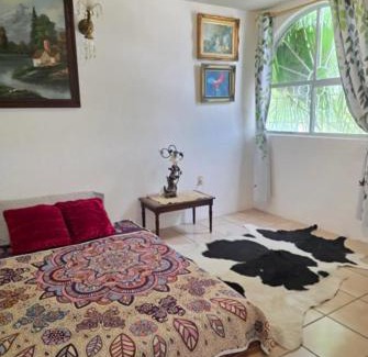 Queretaro Apartment | New Bamboo Noche en el Museo