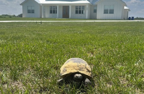 Lake Placid House | NEW BUILD! Family Retreat 4BR Home & Pool on 10 acres