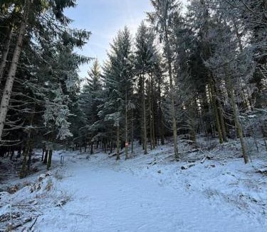 Senones Ski Chalet | Premium Family-Friendly Chalet for Your Next Getaway