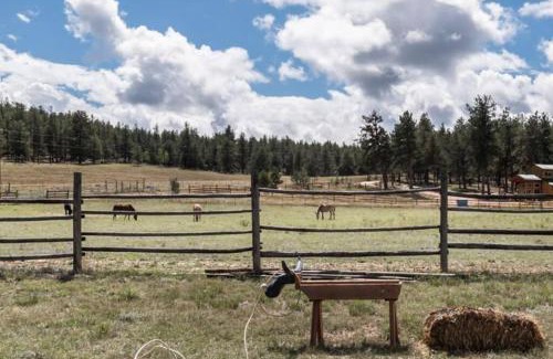 Lake George Ski Chalet | Cozy Cabin Retreat in Colorado National Forest - Pet Friendly