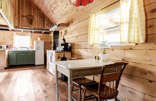 Town of Colchester Cabin | Cozy Catskill Mountain Cabin with Pool and Soaking Tub
