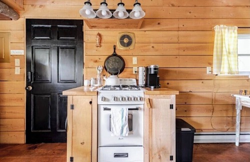 Town of Colchester Cabin | Cozy Catskill Mountain Cabin with Pool and Soaking Tub