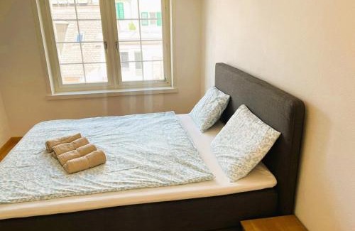 Old Town Apartment | New Cozy 2 room Apartment in Zurich Old Town Center RENN - Self Checkin