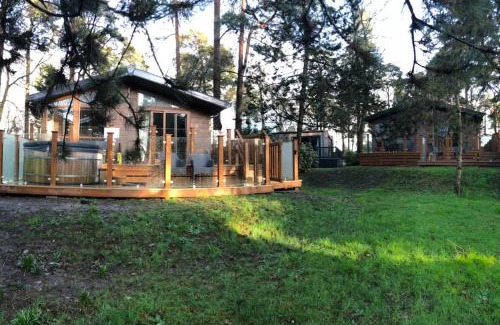 New Forest District Apartment | Relaxing New Forest Lodge with Pool and Hot Tub Access