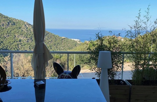Ville-di-Pietrabugno Apartment | Discover a Fully-Equipped Apartment with Sea and Mountain Views