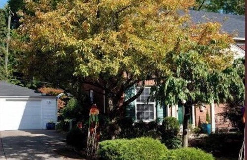Dearborn House | Historic Home Near Greenfield Village with Family Amenities