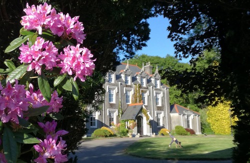 Margam Apartment | Enchanting Fairytale Manor House with Indoor Pool