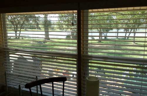 Dundee Apartment | Lakefront One Bedroom Suite with Private Entrance