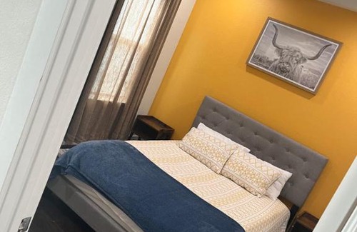 Astrodome Villa | Discover Casa De Poiz: Downtown Rooftop Terrace & More