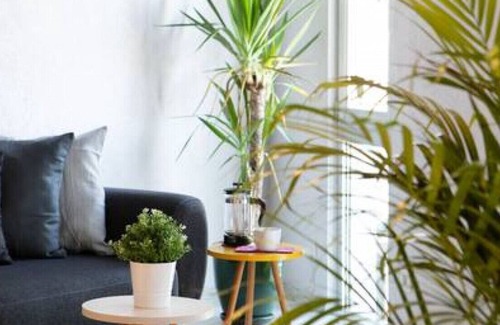 Bakırkoy Apartment | NEW! Luxury Loft Flat 5 mins away by the Sea