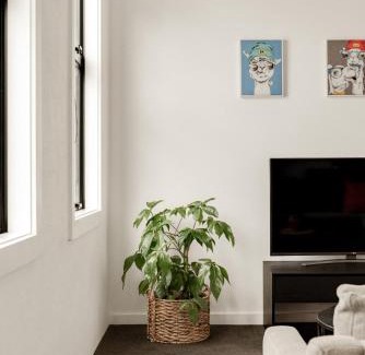 Gisborne Apartment | NEW - Middle of CBD Fresh 1BR Apt!