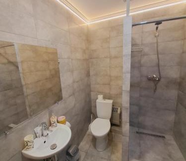Kosuv Stary Apartment | Modern Downtown Apartments with Restaurant & Family Amenities