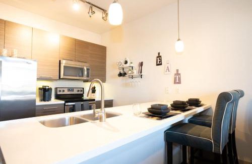 Brentwood Apartment | Discover a Modern 1Br/1Bth Oasis in Central Austin