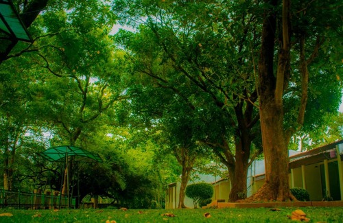 Mahiyanganaya House | Budget-Friendly New Rest House Inn: Pet & Child Friendly
