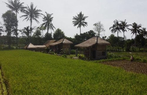 Kotaraja House | Pet and Child Friendly: New Rinjani Bungalows Await