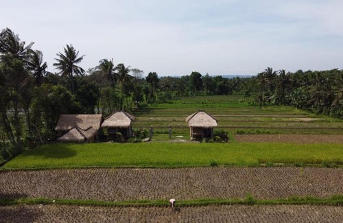 Kotaraja House | Pet and Child Friendly: New Rinjani Bungalows Await