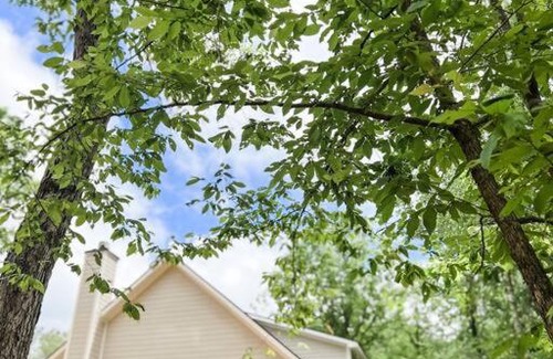 Forsyth House | Cozy Riverfront 3 Bedroom Cabin Near Jackson Lake