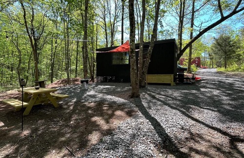 Rising Fawn Cabin | Secluded Modern Cabin Near Cloudland Canyon - 10/10 Rating