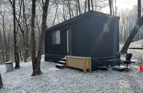 Rising Fawn Cabin | Secluded Modern Cabin Near Cloudland Canyon - 10/10 Rating