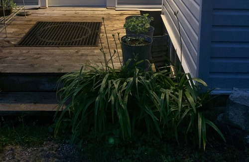 Manitoulin District House | ( New- shorter stays available) The Annie McDermid House