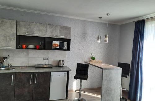 Kosuv Stary Apartment | Cozy NEW Studio Apartment: Guest Rated 9.4/10