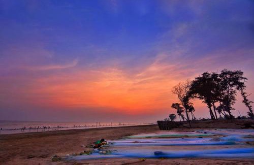 Tajpur Resort | Charming New Surya Kutir Resort: Ocean View & Pool Access