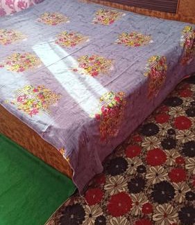 Srinagar Apartment | Discover New Way Paying Home Stay: Pet & Child Friendly