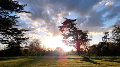 Lugwardine House | Discover Newcourt Manor: Pet-Friendly & Family Ready Escape