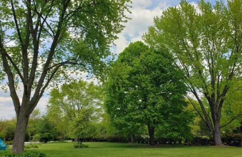 Barrington House | Family-Friendly Getaway at 26747 Barrington Hotel