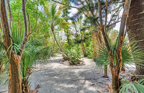 Sanibel Cottage | Discover Parrot Nest Toucan Cottage: Walk to Beach & Shops!
